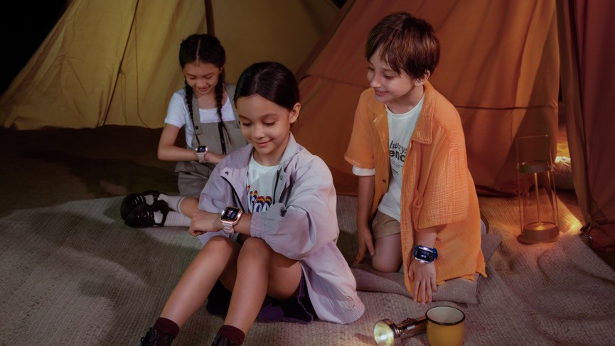 这一领域的日益壮大